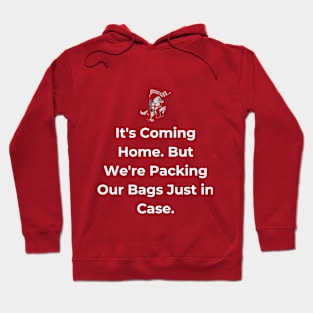 Euro 2024 - It's Coming Home. But We're Packing Our Bags Just in Case. Horse. Hoodie
